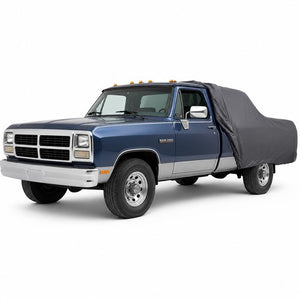 RAM 250