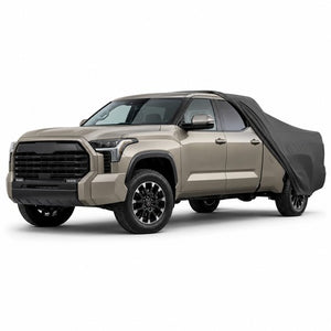 Tundra