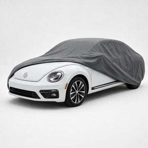 Beetle